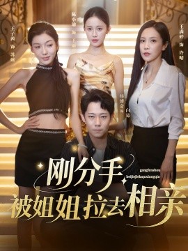 剛分手，被姐姐拉去相親(全集)