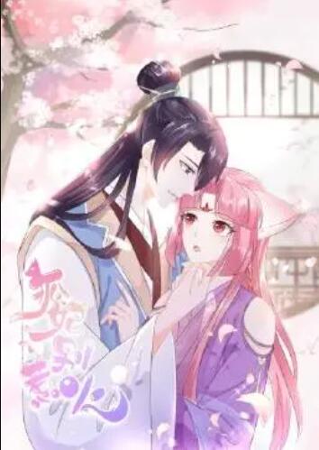 狐妃，別惹火