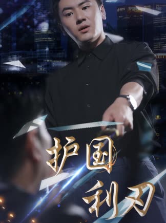 護(hù)國利刃(全集)