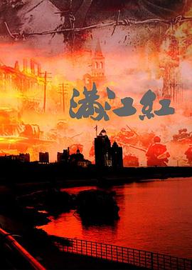 滿(mǎn)江紅：抗戰(zhàn)珍稀影像全紀(jì)錄(全集)