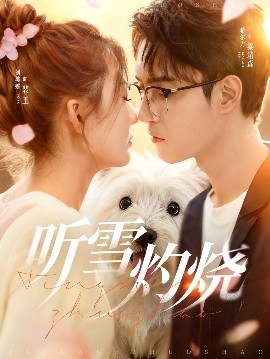 聽(tīng)雪灼燒(全集)