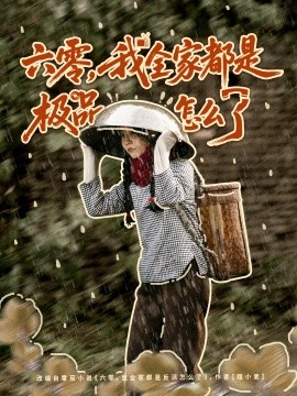 六零，我全家都是極品怎么了(全集)